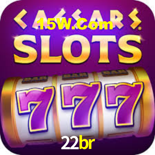 22br App Interface